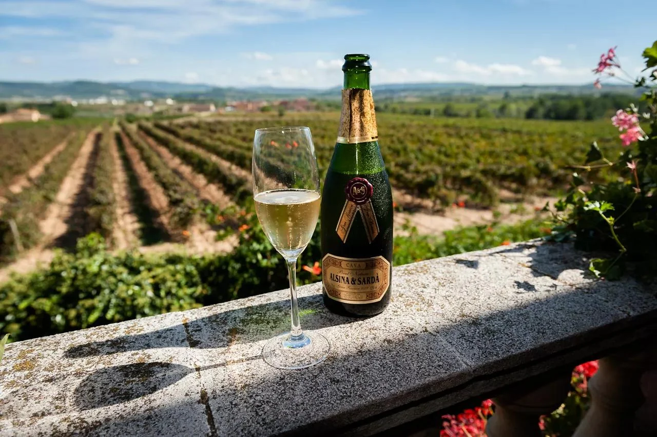 Spanish Wine
