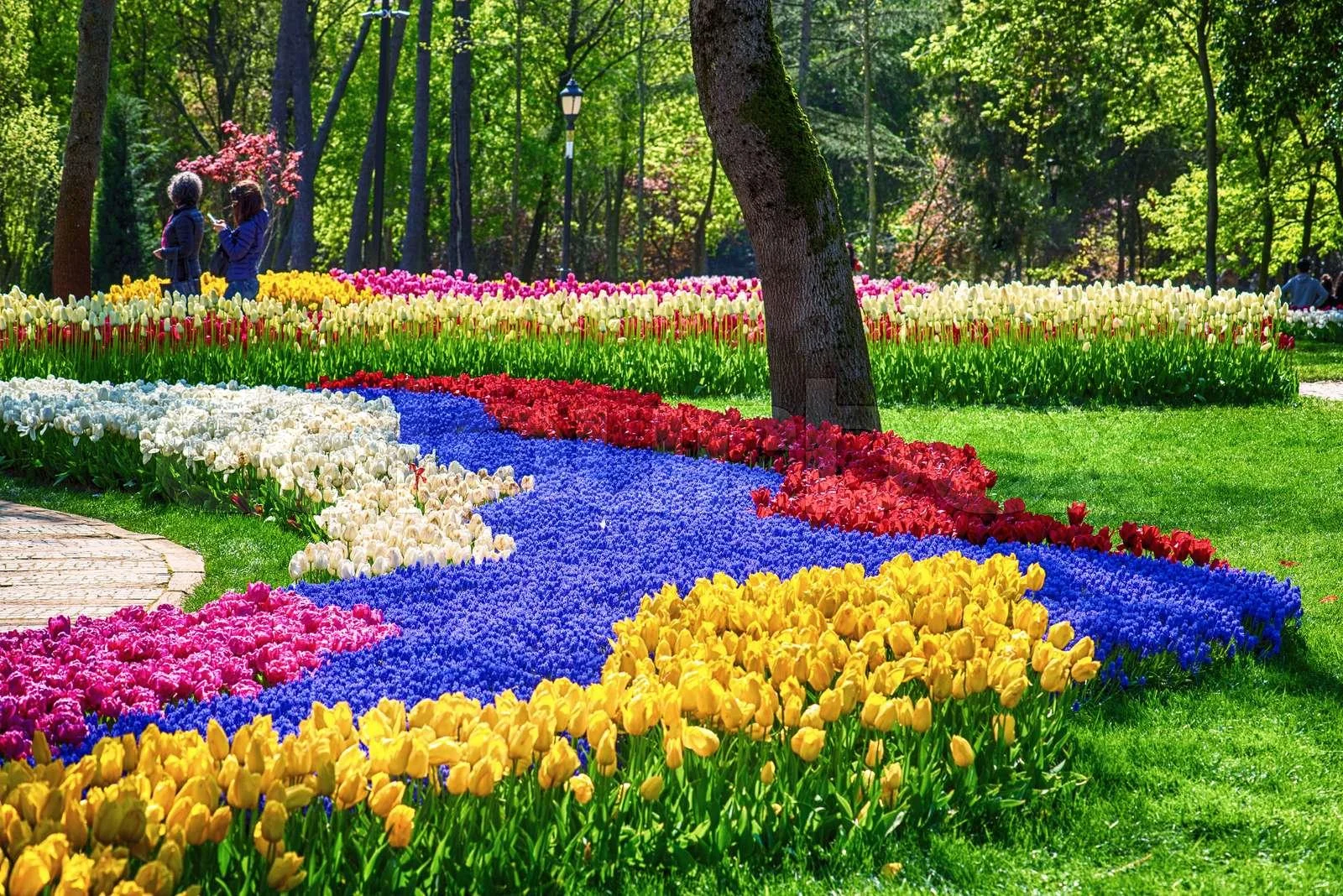 Istanbul Tulip Festival