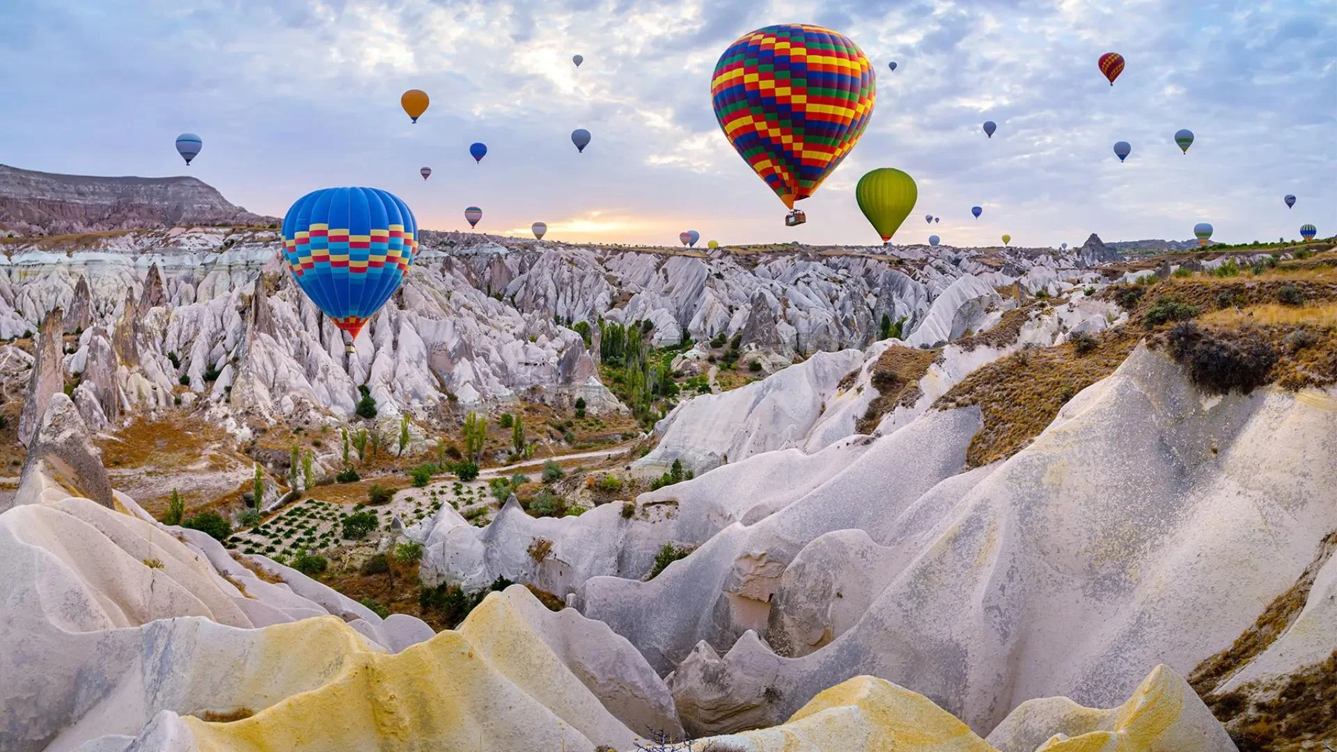 Cappadocia Balloon Festival and Balloon Watching