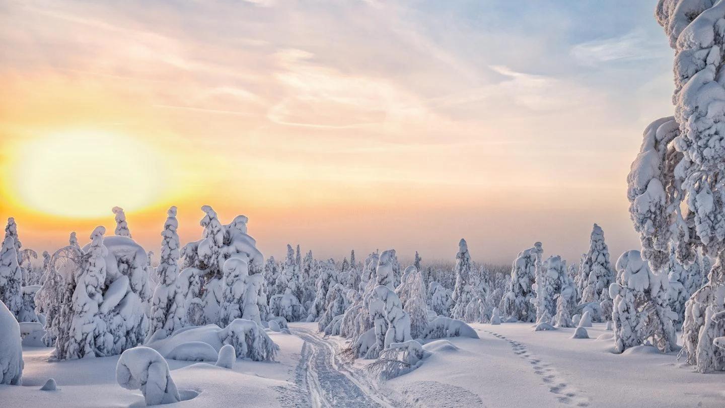 ❄️ Winter