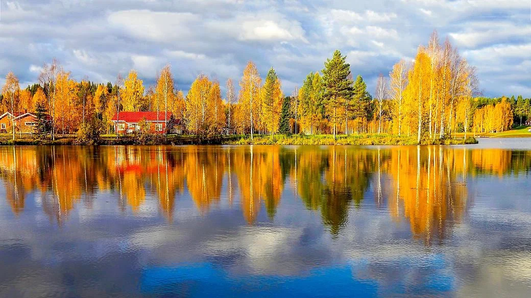 🍂 Autumn